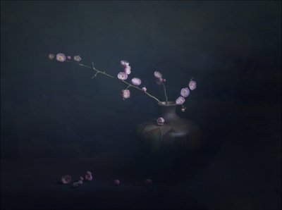 Natura morta con fiori di prugno da John-Mei Zhong