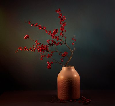 Esposizione di bacche invernali da John-Mei Zhong