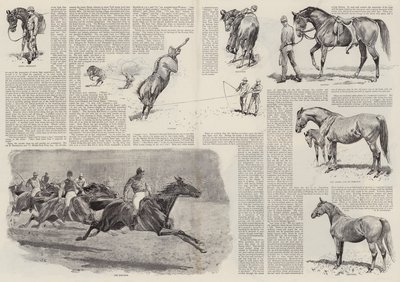 La carriera di un cavallo da corsa (incisione) da John (after) Charlton