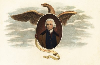 Dr Joseph Priestley, teologo e scienziato da John (after) Opie