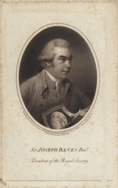 Sir Joseph Banks, naturalista, botanico e presidente della Royal Society inglese da John (after) Russell