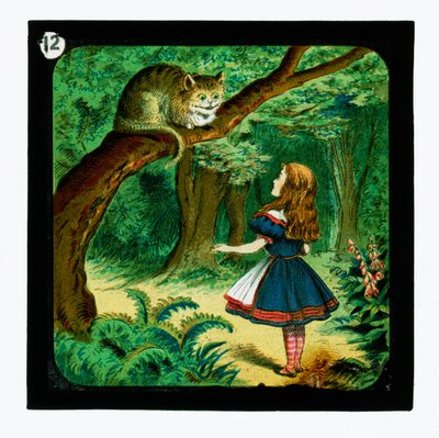 Alice nel Paese delle Meraviglie, Diapositive colorate da John (after) Tenniel