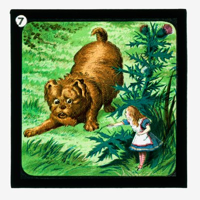 Alice nel Paese delle Meraviglie, Diapositive colorate da John (after) Tenniel