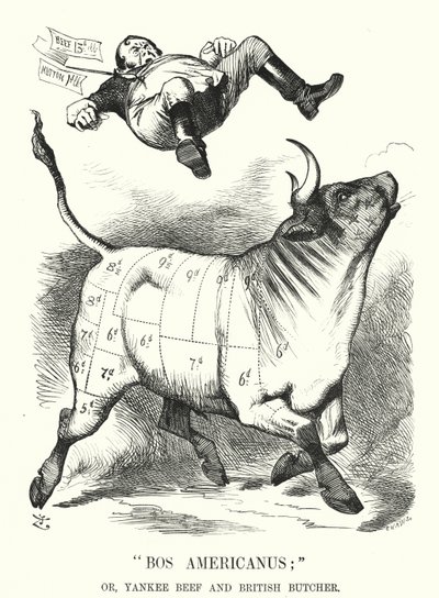 Cartone animato Punch: Bos Americanus; o, Manzo Yankee e Macellaio Britannico - benefici attesi per i consumatori dall