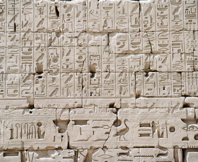 Egitto, Governatorato di Luxor, Karnak, Grande Tempio di Amon, Grande Sala Ipostila, (dettaglio) da Walter Charles Mills