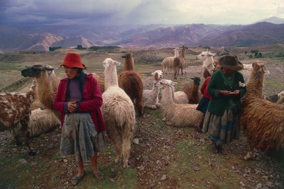 Donne peruviane e branco di lama da Walter Charles Mills
