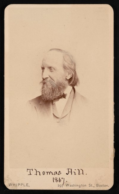 Ritratto di Thomas Hill 1818-1891, 1867 da John Adams Whipple