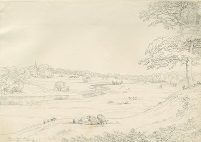[Great] Barr Park (disegno a penna e inchiostro, inizio XIX secolo) da John Allport