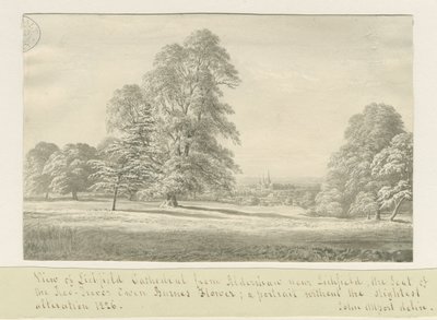 Cattedrale di Lichfield - Vista da Aldershaw (distanza) da John Allport