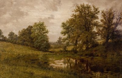 Stagno vicino alla fattoria di Whittem, vicino a Coundon, fine XIX-inizio XX secolo da John Anderson