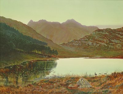 Blea Tarn da John Atkinson Grimshaw