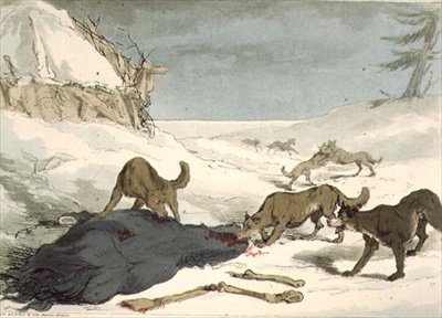 La caccia al lupo, tavola 74 da Volume III di 