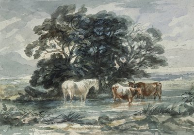 Paesaggio, due mucche e un cavallo in acqua, (schizzo) da John Barker