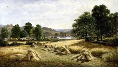 Raccolta del Grano Dorato vicino a Bishopsteignton, Plymouth da John Barrett