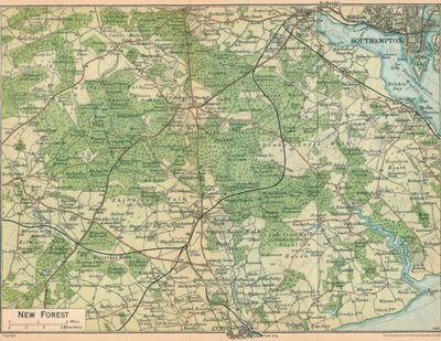 New Forest da John Bartholomew