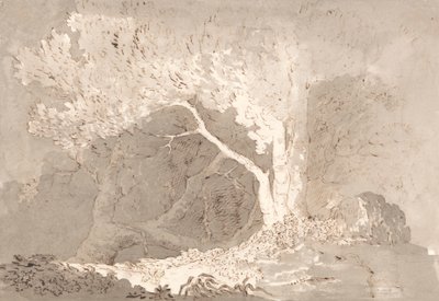 Studio di un albero da John Baverstock Knight