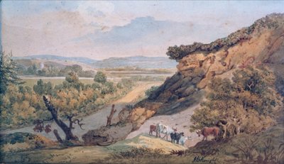 Ringwood da John Bavistock Knight