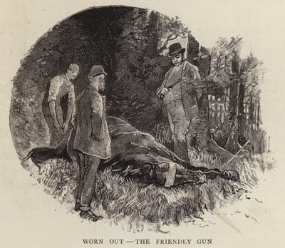 Fine della vita di un vecchio cavallo da corsa da John Beer