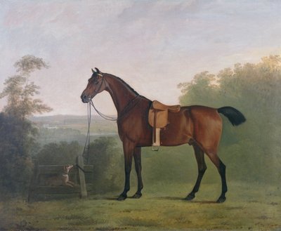 Un cavallo baio in un paesaggio da John Boultbee