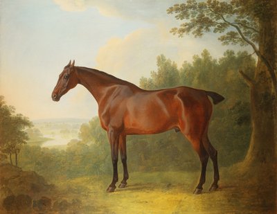 Marquis, un cacciatore baio in un paesaggio da John Boultbee