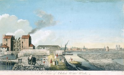Una vista delle opere idriche di Chelsea, 1750 da John Boydell