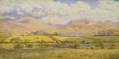 Caernarvon da John Brett