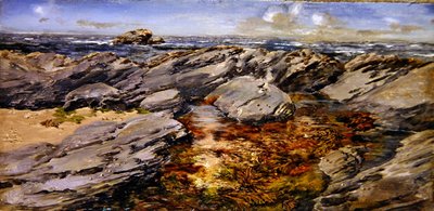 Rocce sulla riva da John Brett