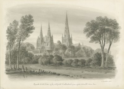 Cattedrale di Lichfield - Vista sud-ovest: disegno a seppia da John Buckler