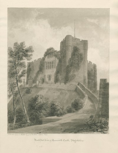 Castello di Tamworth da John Buckler
