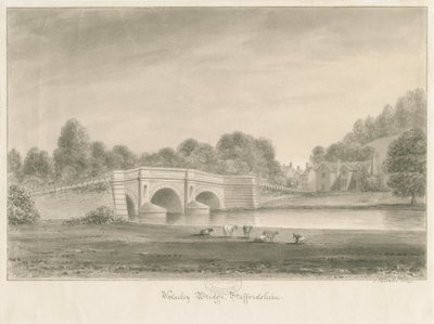 Ponte di Wolseley da John Buckler