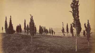 Vista a volo d