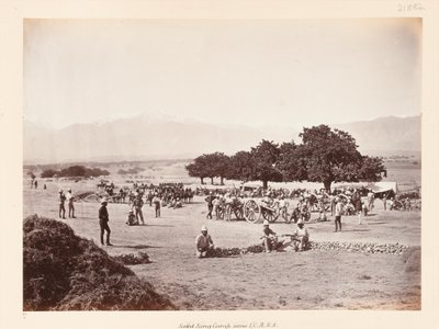 Campo di Safed Sang da John Burke