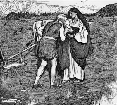 Illustrazione per 