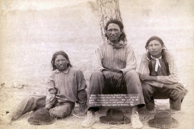 Tre ragazzi adolescenti Lakota in abiti occidentali, 1891 da John C. H. Grabill