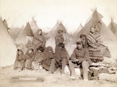 Quel che resta della banda di Big Foot, 1891 da John C. H. Grabill