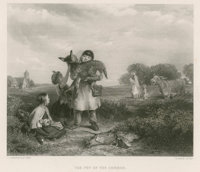 Il cucciolo del comune da John Callcott Horsley