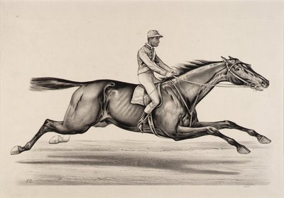 Imperatore di Norfolk da John Cameron