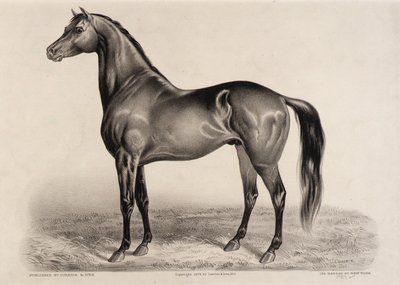 Redpath da John Cameron