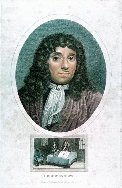 Anton van Leeuwenhoek 1632-1723, microscopista olandese, c1810 da John Chapman