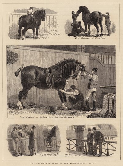 La mostra del cavallo da tiro alla Agricultural Hall da John Charles Dollman