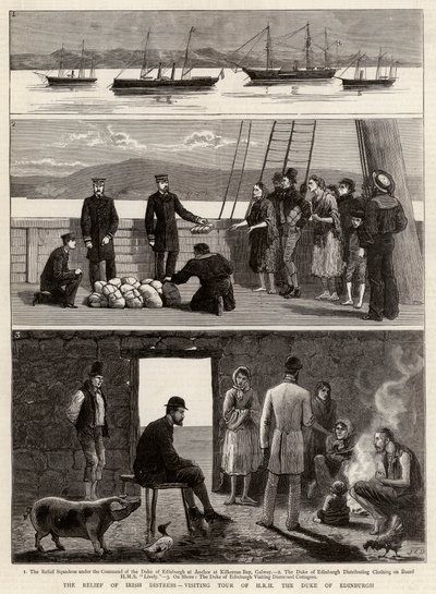 Il soccorso alla carestia irlandese, visita di HRH il Duca di Edimburgo da John Charles Dollman