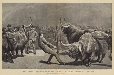 Alla mostra del bestiame, giudizio del bestiame scozzese, un Highlander irrequieto da John Charlton