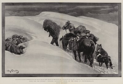 Cibo per gli affamati, curando le pecore bloccate dalla neve sulle colline del Northumberland da John Charlton