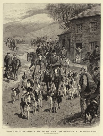 Caccia alla volpe nel nord, un incontro dei North Tyne Foxhounds sulle colline di confine da John Charlton