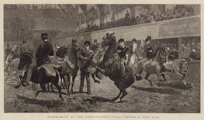 Mostra di cavalli alla Agricultural Hall, pony nel ring da John Charlton