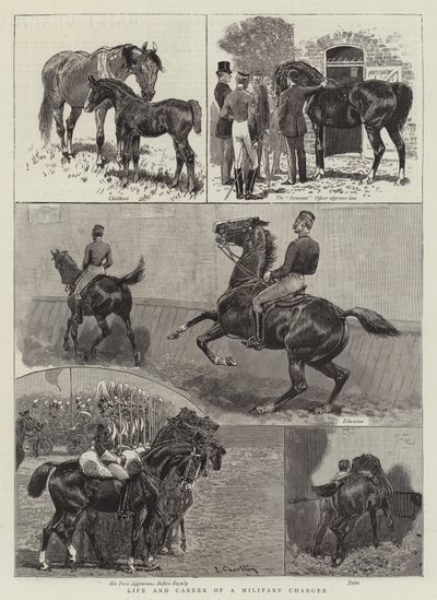 Vita e carriera di un cavallo militare da John Charlton