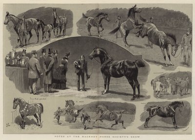 Note allo spettacolo della Hackney Horse Society da John Charlton