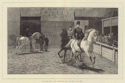 La mostra dei cavalli all