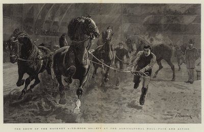 La Mostra della Hackney Stud-Book Society all