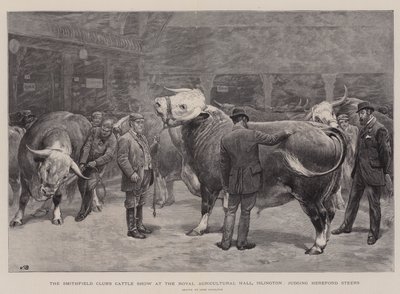 La Mostra di Bovini del Club di Smithfield alla Royal Agricultural Hall, Islington, giudizio dei Manzi Hereford da John Charlton